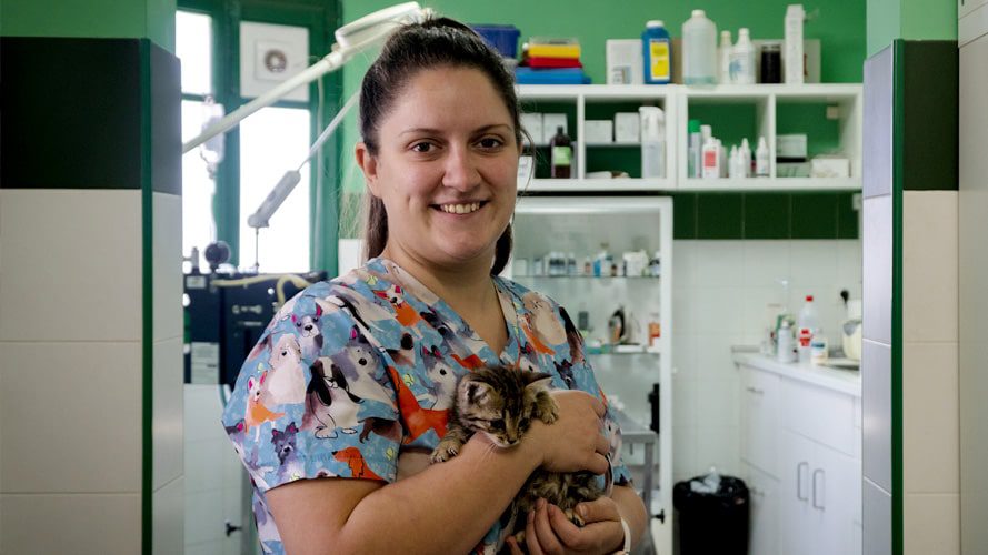 Consultorio Veterinario Salinas